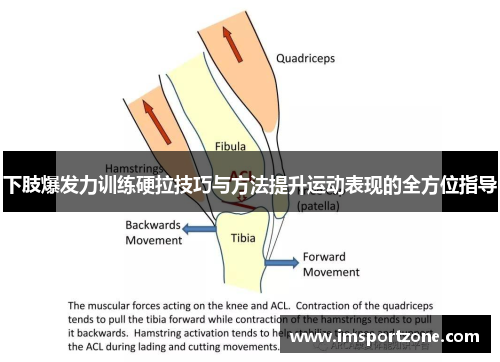 下肢爆发力训练硬拉技巧与方法提升运动表现的全方位指导