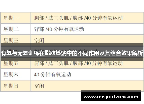 有氧与无氧训练在脂肪燃烧中的不同作用及其结合效果解析